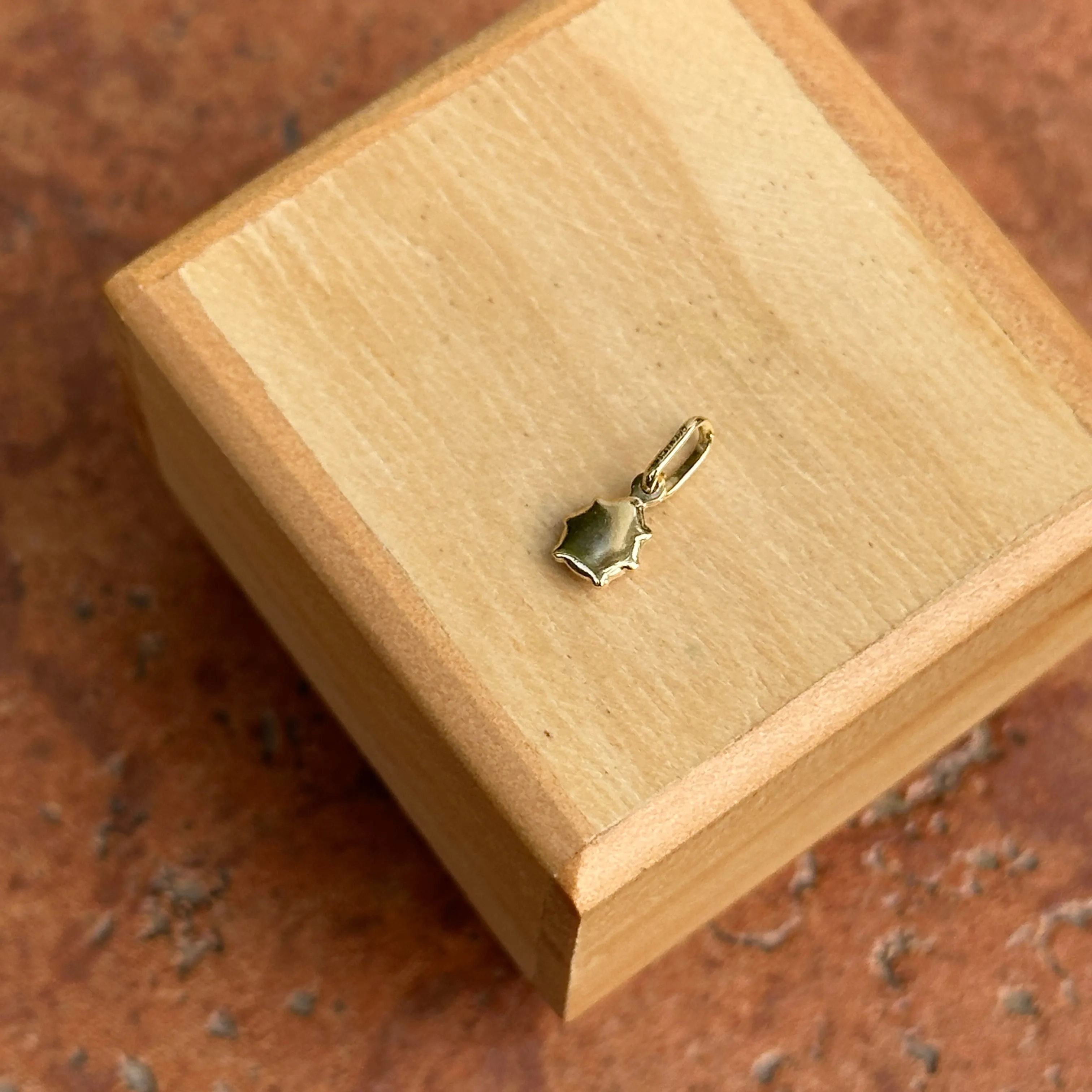 14KT Yellow Gold Mini Yellow Ladybug Pendant Charm 5mm