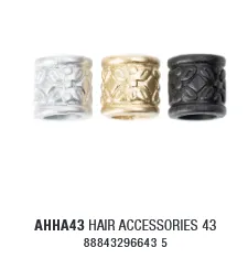 AHHA43