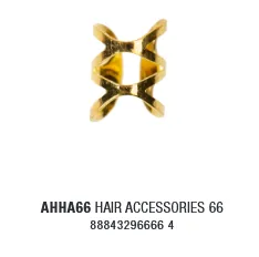 AHHA66