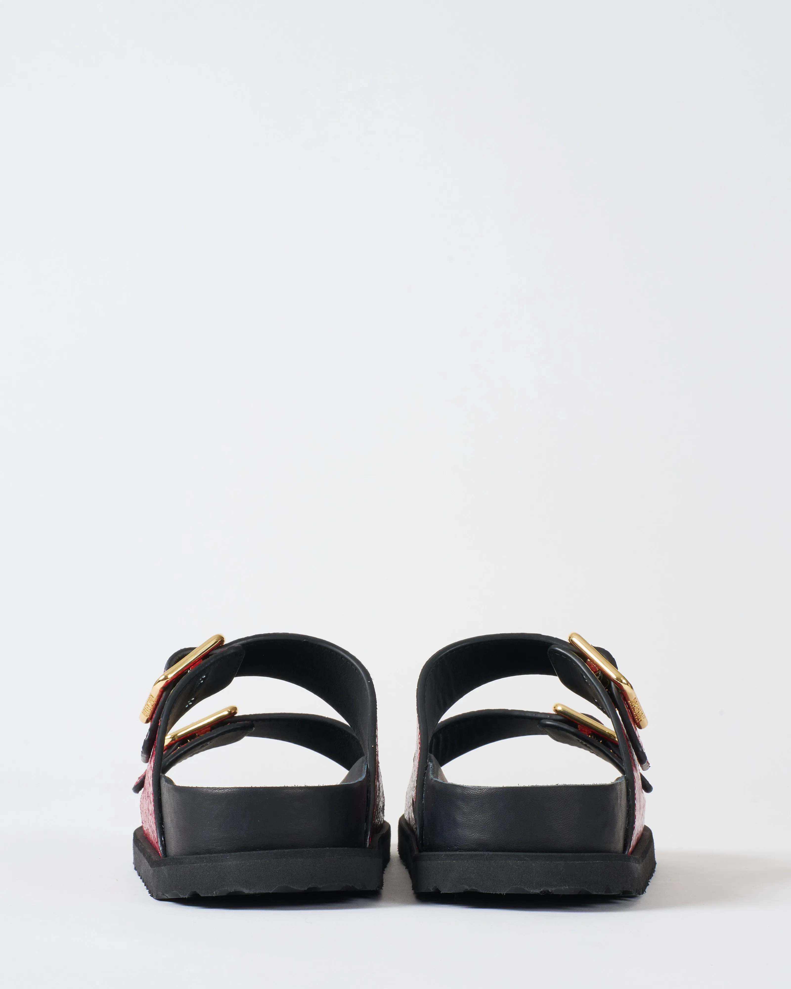 arizona snake leather