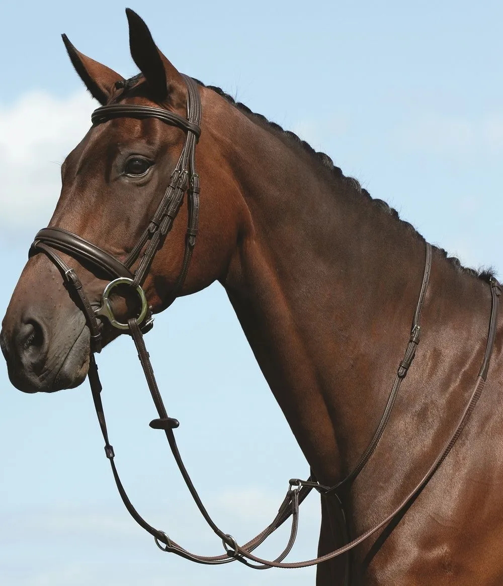 Collegiate Syntovia  Plain Flat Running Martingale