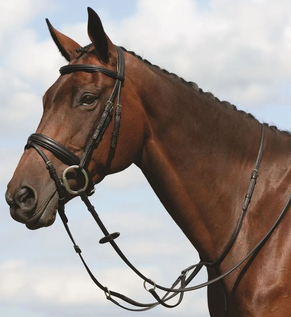 Collegiate Syntovia  Plain Flat Running Martingale