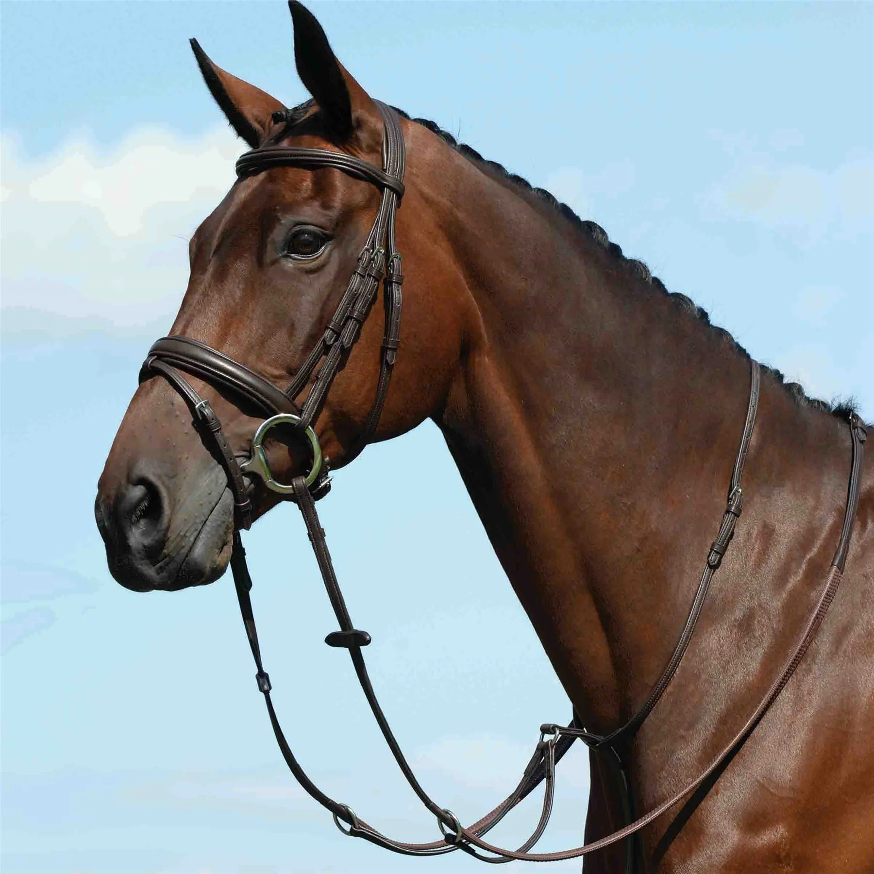 Collegiate Syntovia  Plain Flat Running Martingale