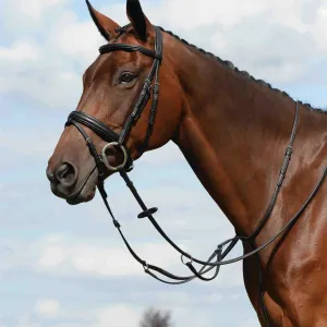 Collegiate Syntovia  Plain Flat Running Martingale