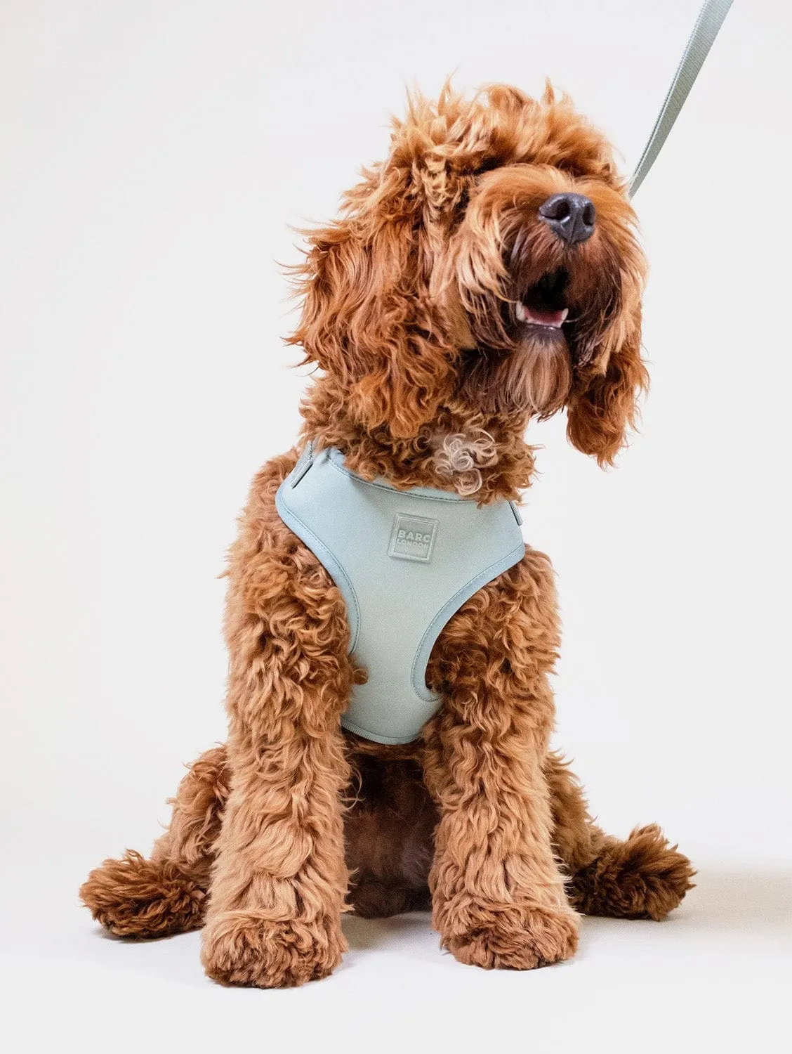 Easy Fit Nylon Fabric Cushioned Dog Harness | Pistachio Green