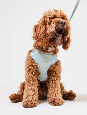 Easy Fit Nylon Fabric Cushioned Dog Harness | Pistachio Green