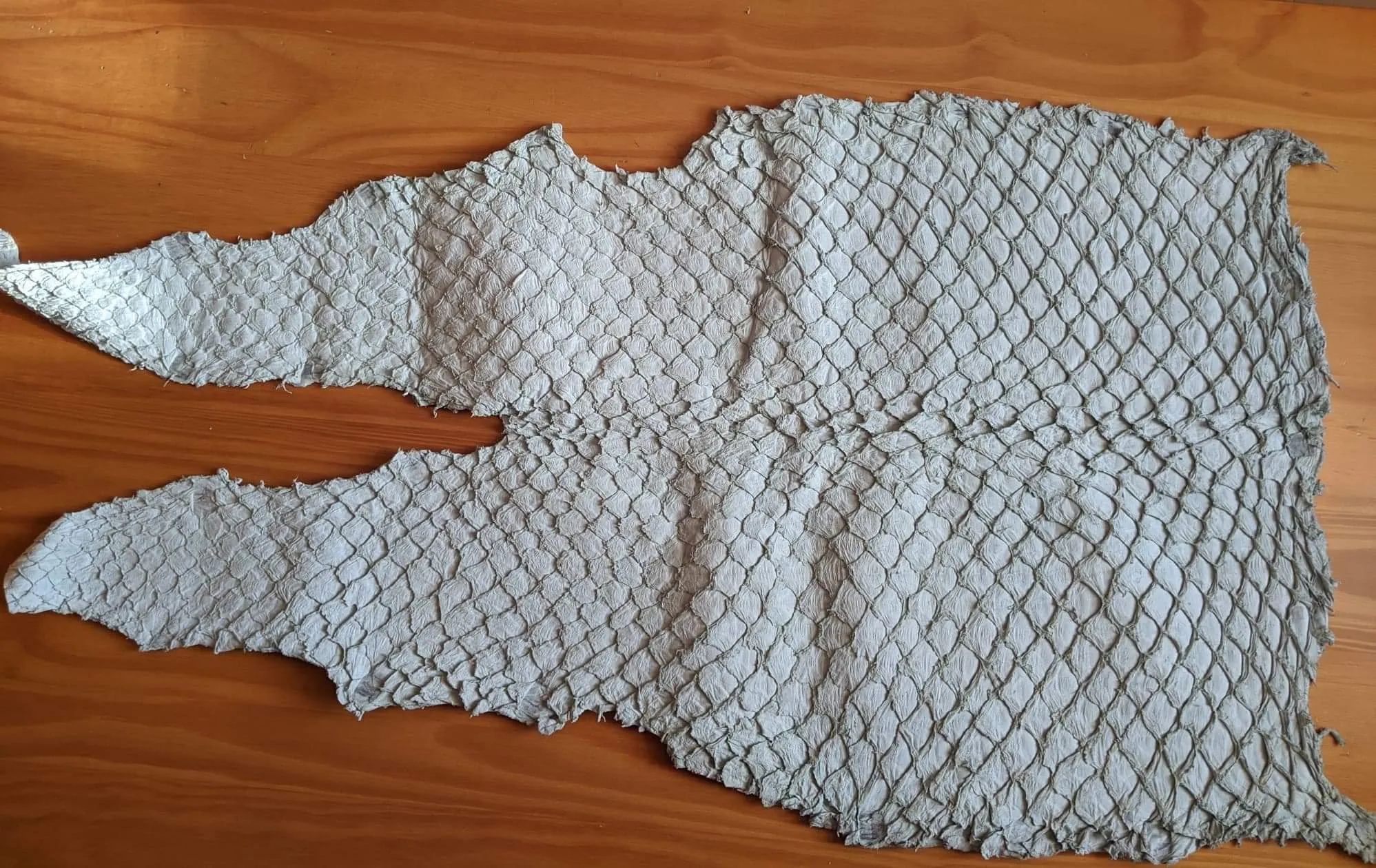 Pirarucu/Arapaima