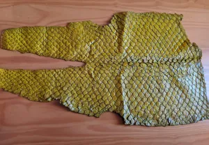 Pirarucu/Arapaima