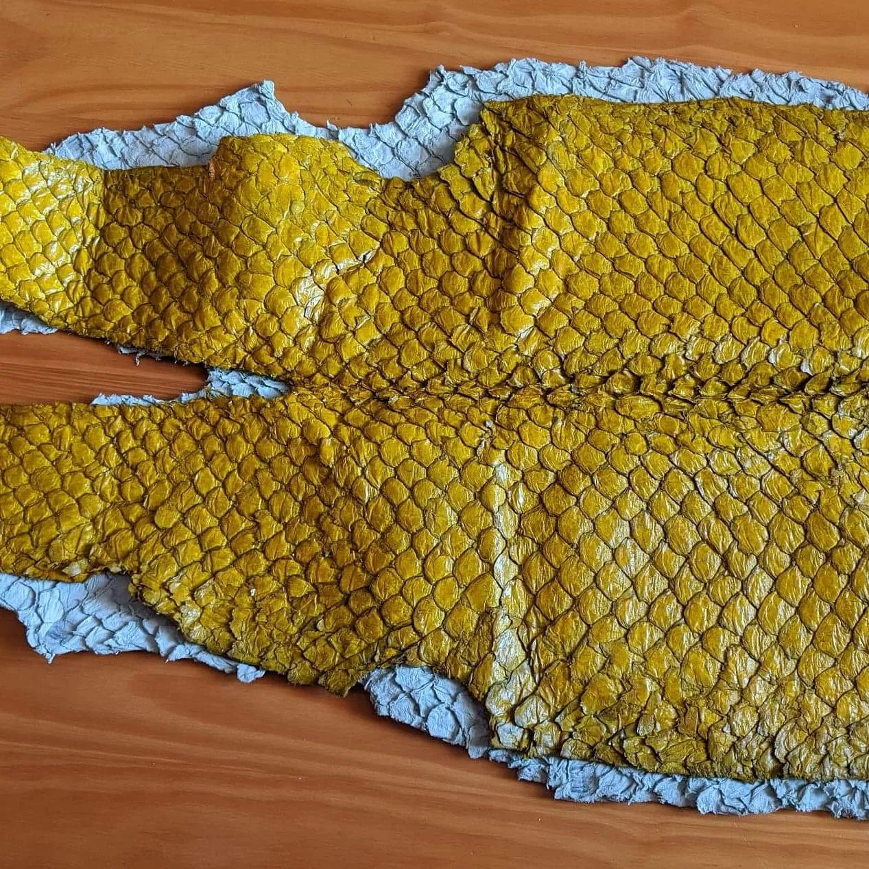 Pirarucu/Arapaima