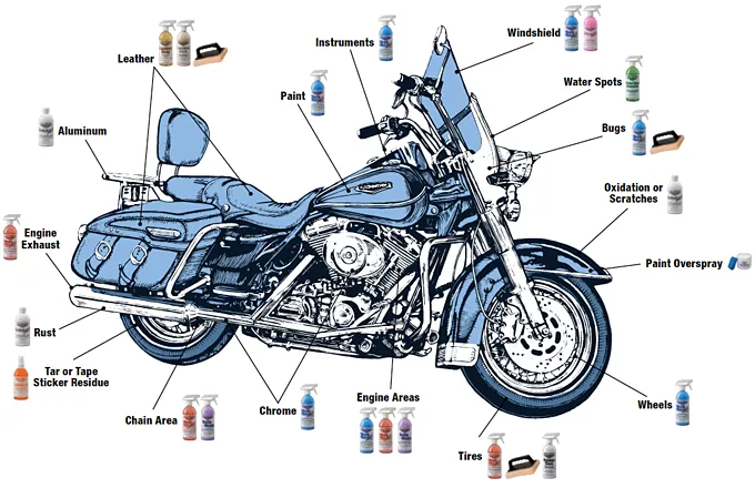 Polish ALL