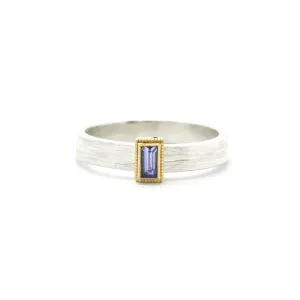 Rev Gold and silver Rustic Rolling Ring