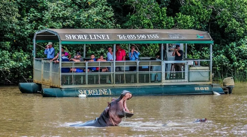 St Lucia Estuary Hippo and Croc Boat Cruise