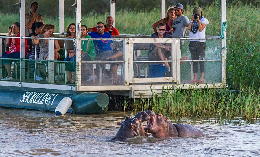 St Lucia Estuary Hippo and Croc Boat Cruise