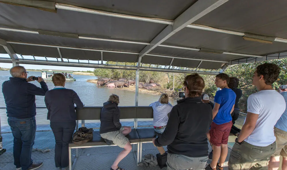 St Lucia Estuary Hippo and Croc Boat Cruise